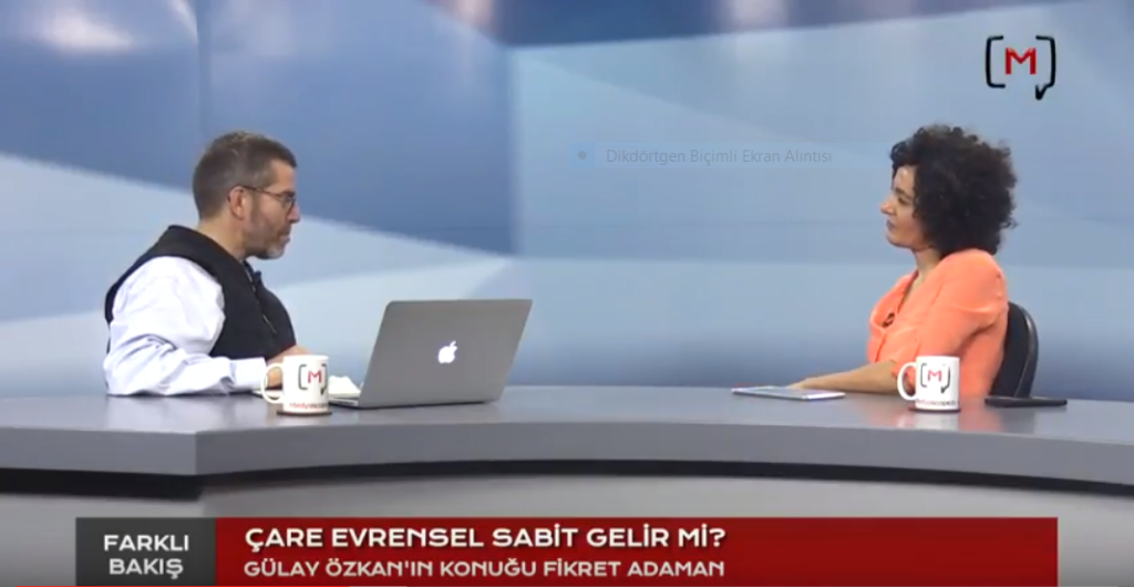 ÇARE EVRENSEL SABİT GELİR Mİ?